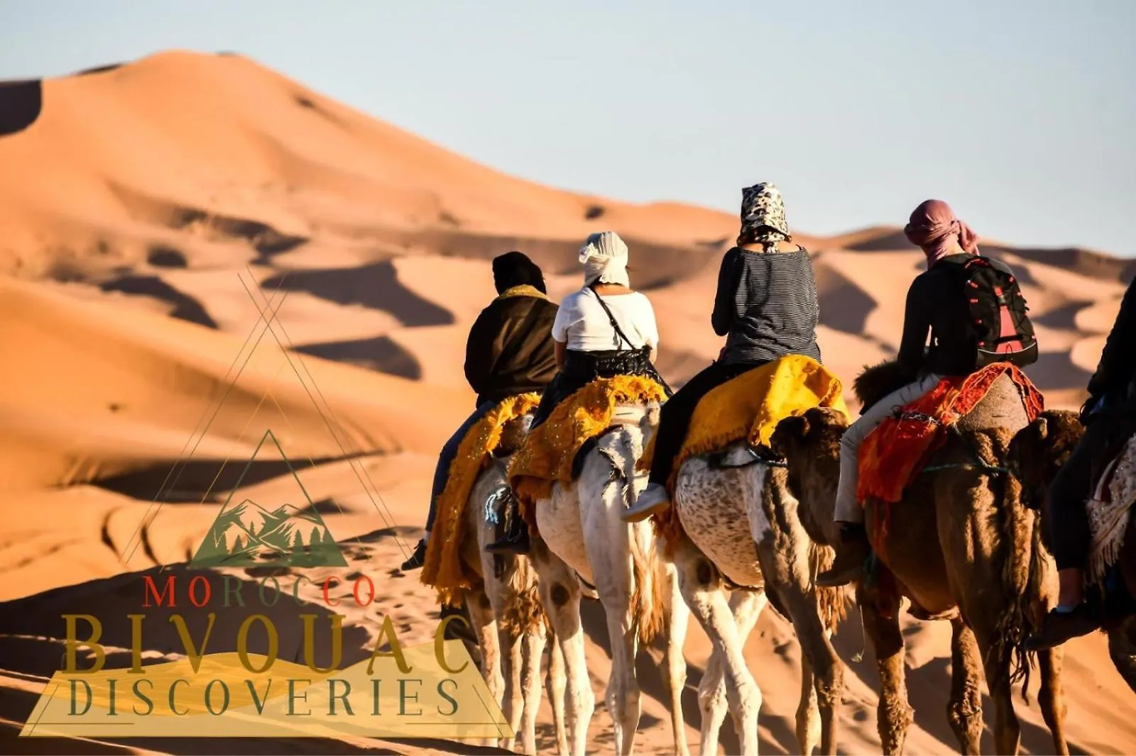 Morocco Bivouac Discoveries Casablanca Morocco